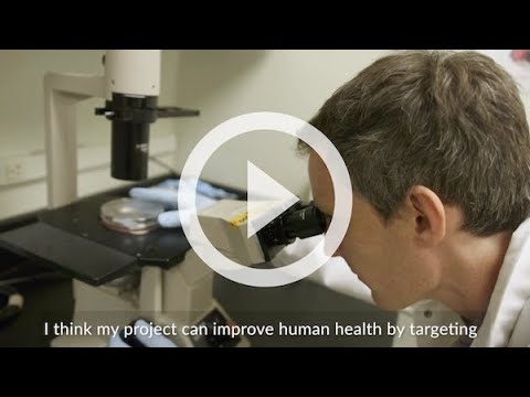 SPARK Bold Ideas that Could Transform Health