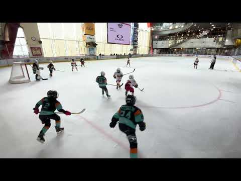 2025 Hockey 5&#039;s U9B 20250426 LPB vs SZ Century Star