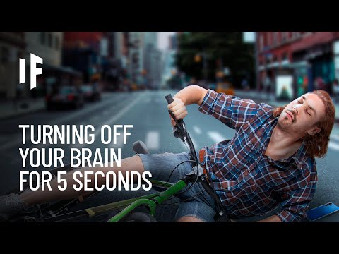 What If Your Brain Stopped Working for 5 Seconds?