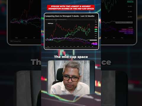 Are these mid cap stocks in your portfolio?