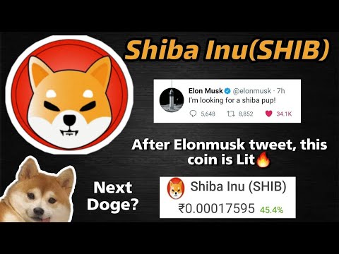 Tesla CEO Elon Musk tweeted about his Shiba Inu dog, releasing a wave of excitement among the crypto