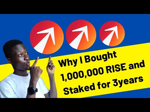 RISE Staking Tutorial | I Bought 1 Million Everrise Token and Stake for 1095 Days