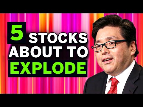 💥Tom Lee’s Best 5 Stocks to BUY NOW in July 2024 (High Growth Stocks) 🚀📈