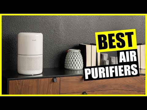 Best Air Purifier [2024]