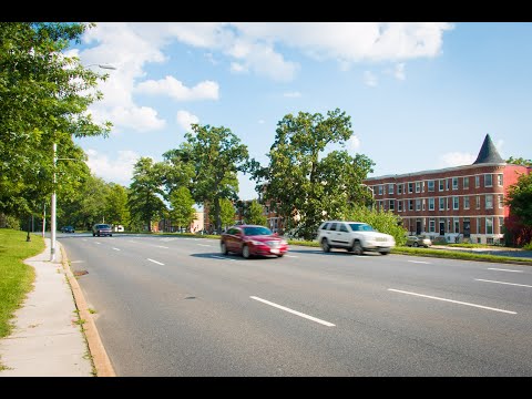 Roadblocks: The Effects of Highways In and Around Druid Hill Park