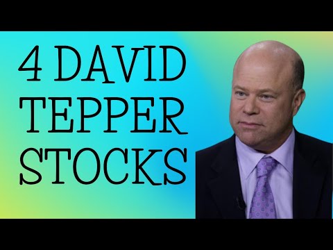 50.95% of David Tepper&#039;s Portfolio is in These 4 Stocks | FAANG Stocks | Billionaire Investors