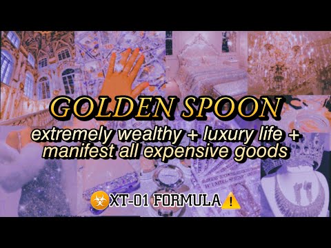 ❗ XT-01 MONEY MAGNET ❗ EXTREME WEALTH &amp; LUXURY LIFE Subliminal Affirmations 💸