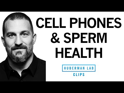 Cell Phones &amp; EMFs Reduce Sperm Health &amp; Testosterone | Dr. Andrew Huberman