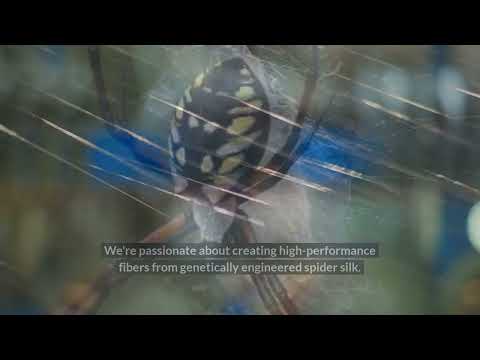 Well-Known Spider Silk Company| Manage the Research &amp; Development Process of Spider Silk Technology