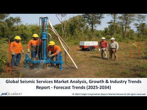 Seismic Services Market Share, Size &amp; Industry Insights Forecast (2025-2034)