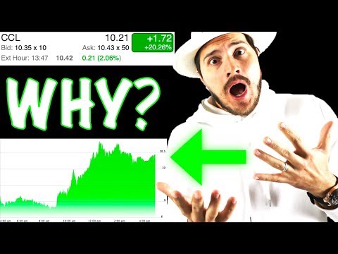 Carnival Cruise Stock Soars! Why CCL is Going Up So Much!