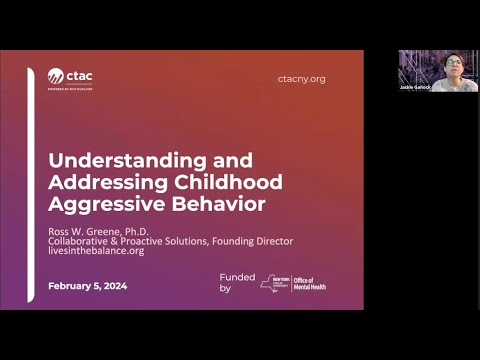 Understanding and Addressing Childhood Aggressive Behavior