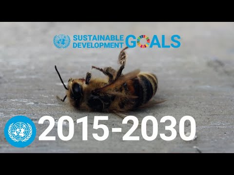 Red Alert - How to meet the Sustainable Development Goals together | SDG Moment | United Nations