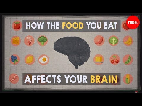 How the food you eat affects your brain - Mia Nacamulli