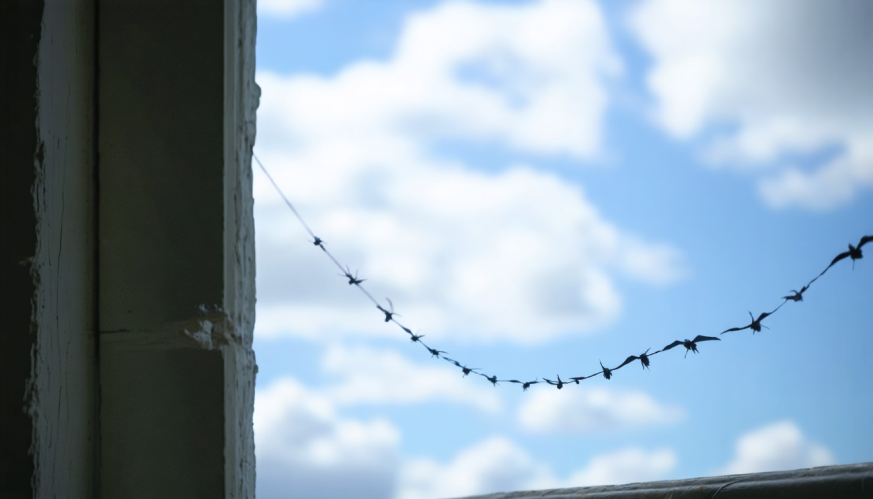 Flywire Falters in Q4: Is a Rebound on the Horizon?